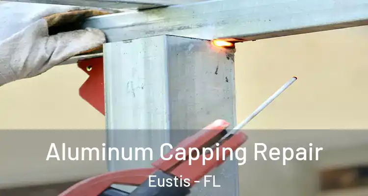  Aluminum Capping Repair Eustis - FL