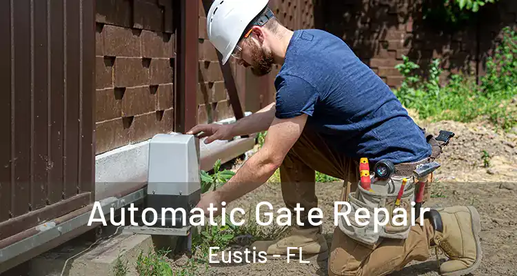  Automatic Gate Repair Eustis - FL