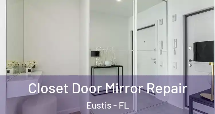  Closet Door Mirror Repair Eustis - FL