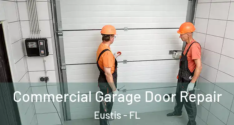  Commercial Garage Door Repair Eustis - FL