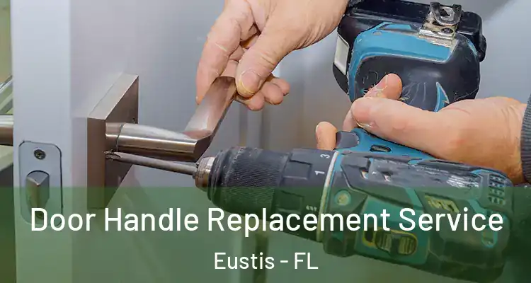  Door Handle Replacement Service Eustis - FL
