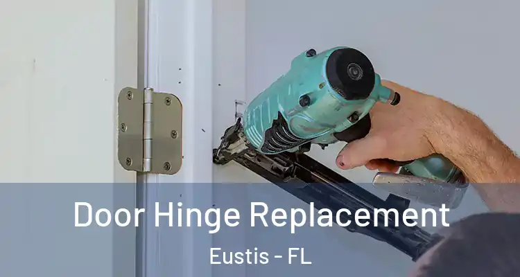  Door Hinge Replacement Eustis - FL