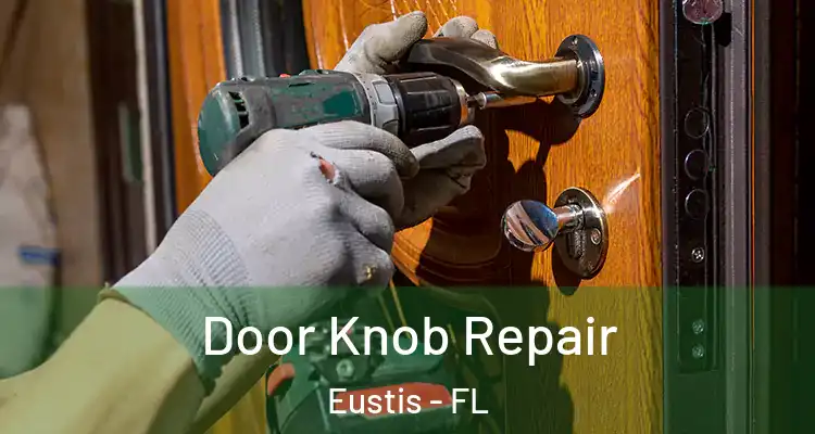  Door Knob Repair Eustis - FL