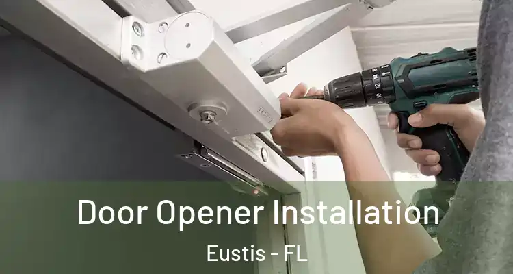  Door Opener Installation Eustis - FL