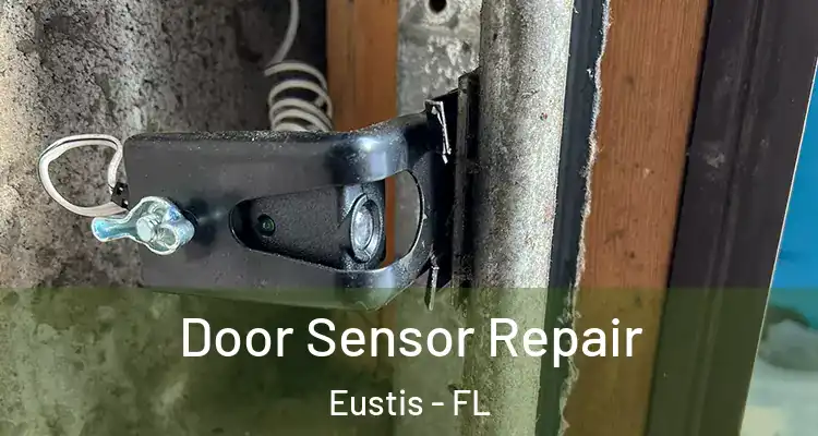  Door Sensor Repair Eustis - FL