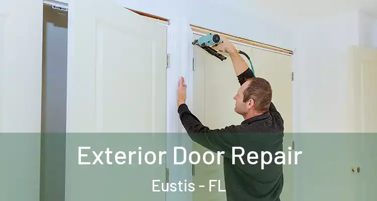  Exterior Door Repair Eustis - FL