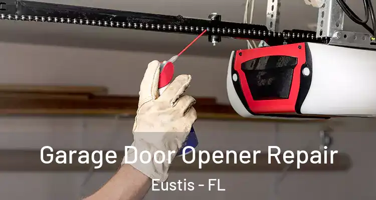  Garage Door Opener Repair Eustis - FL