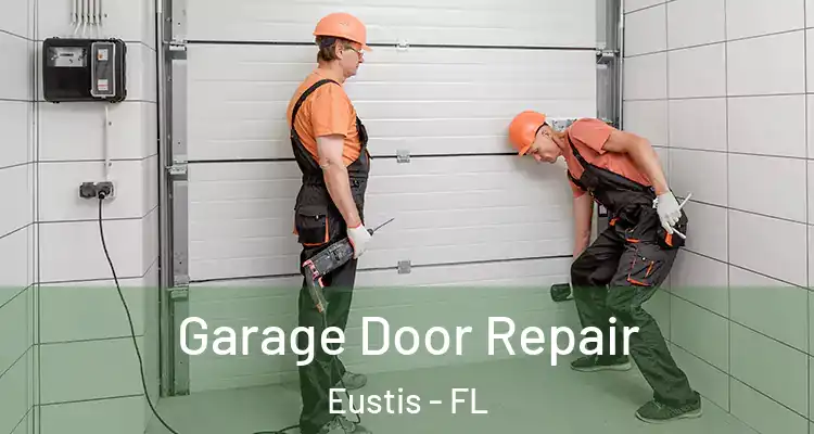  Garage Door Repair Eustis - FL