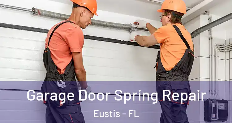  Garage Door Spring Repair Eustis - FL