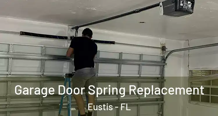  Garage Door Spring Replacement Eustis - FL