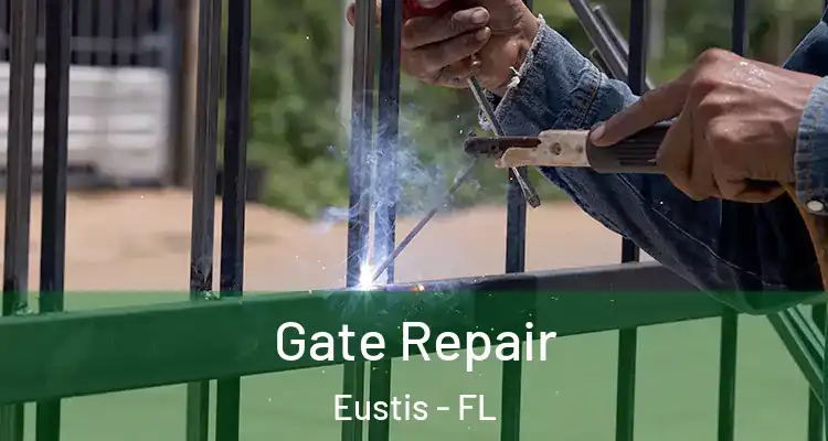  Gate Repair Eustis - FL