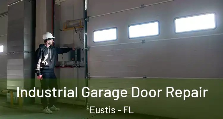  Industrial Garage Door Repair Eustis - FL