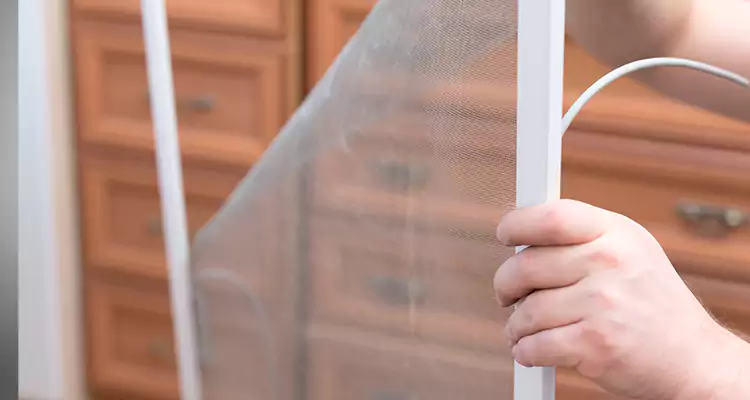 Privacy Mesh Screen Door Installation in Eustis, FL
