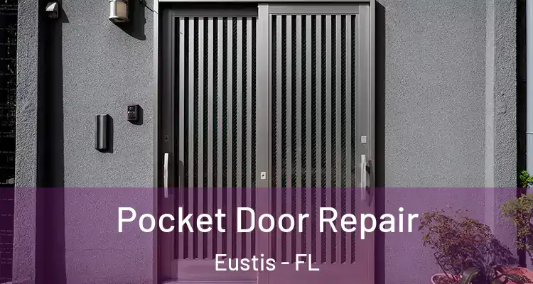 Pocket Door Repair Eustis - FL