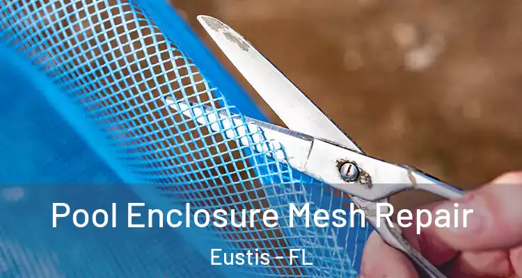  Pool Enclosure Mesh Repair Eustis - FL