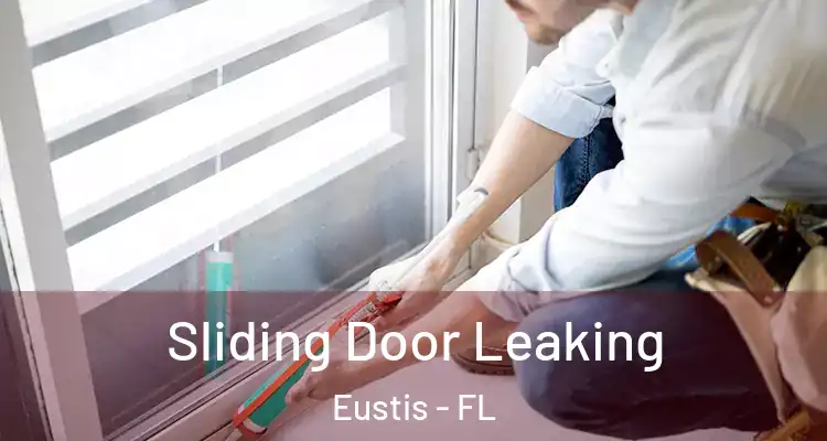  Sliding Door Leaking Eustis - FL
