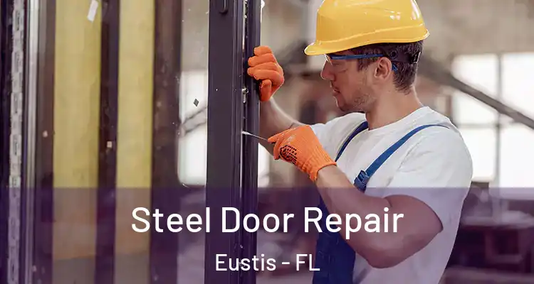  Steel Door Repair Eustis - FL