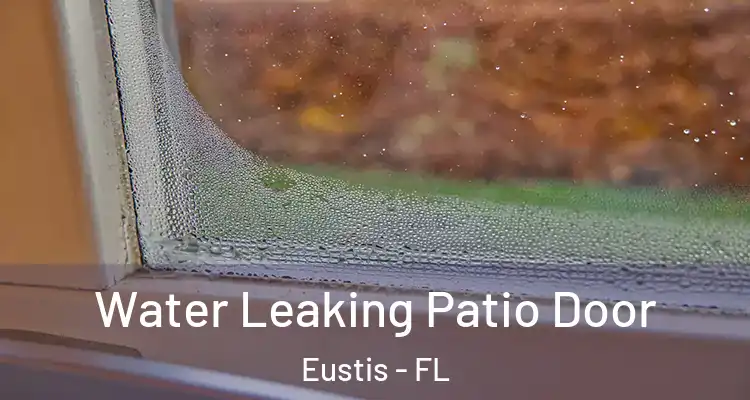  Water Leaking Patio Door Eustis - FL